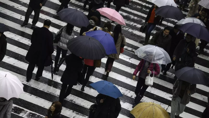 Brasil tem mais de 14 milhões de desempregados, saiba quais empresas estão contratando em sua região