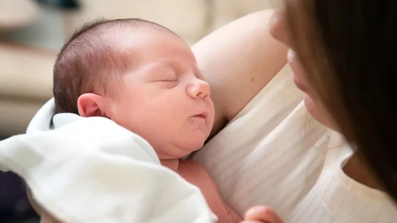 BECAMATRA: El Programa de Apoyo a la Maternidad para Madres Solteras en México
